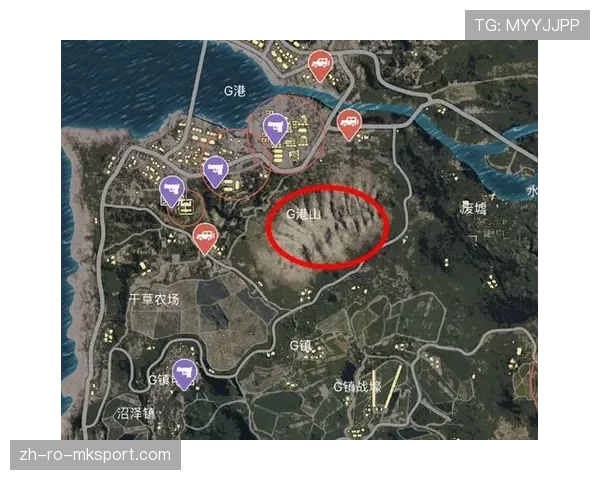 职业选手训练地图公开